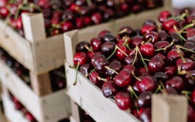 El “Efecto Espejo”: Cómo una crisis en el Mar Rojo y el Sudeste Asiático puede complicar las exportaciones chilenas